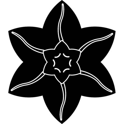 裏花鉄仙／裏花鉄線