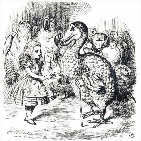 1865年に発刊された『不思議の国のアリス』に登場する「ドードー・Dodo」