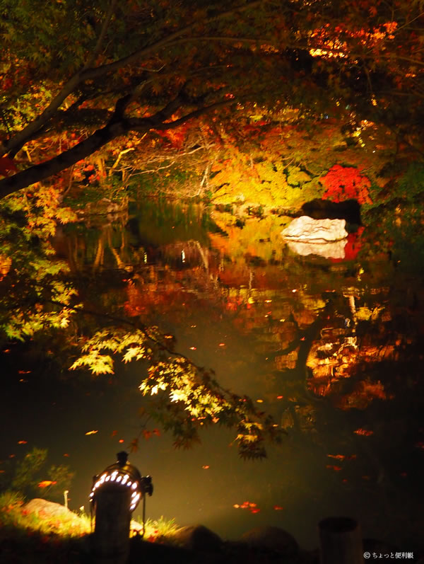 京都「永観堂 禅林寺」でのライトアップ(2015/11/10)。池の端に照明器具が据え付けられている