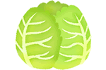 キャベツ