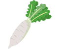 だいこん