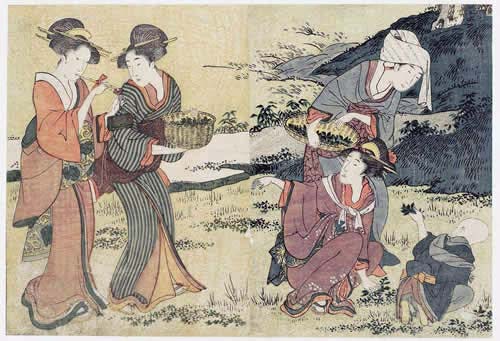 喜多川歌麿「絵本四季花」より『若菜摘み』寛政13年〈1801年〉