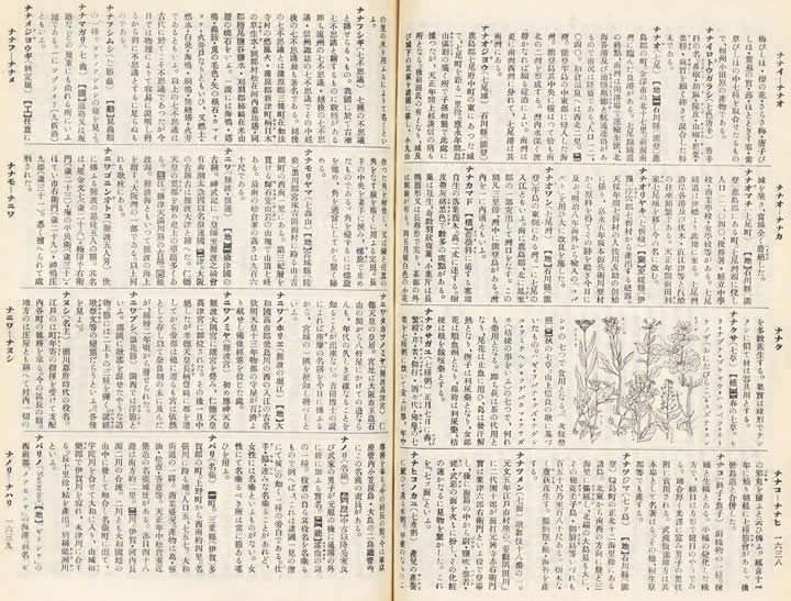 江戸後期から昭和初期の辞典に見る「ななくさ」