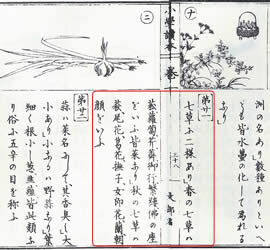 明治6年・1873年刊の、小学校の国語教科書『小学読本』に見られる「七草」の説明。
