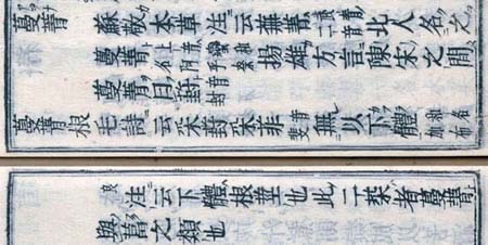 『和名類聚抄』 に見られる「加布良（かぶら）」の文字など（国立国会図書館蔵）