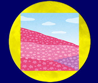 満月の名前:Pink Moon ピンクムーン