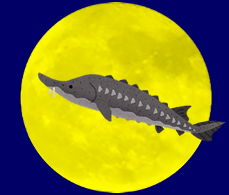 満月の名前:Sturgeon Moon スタージョンムーン